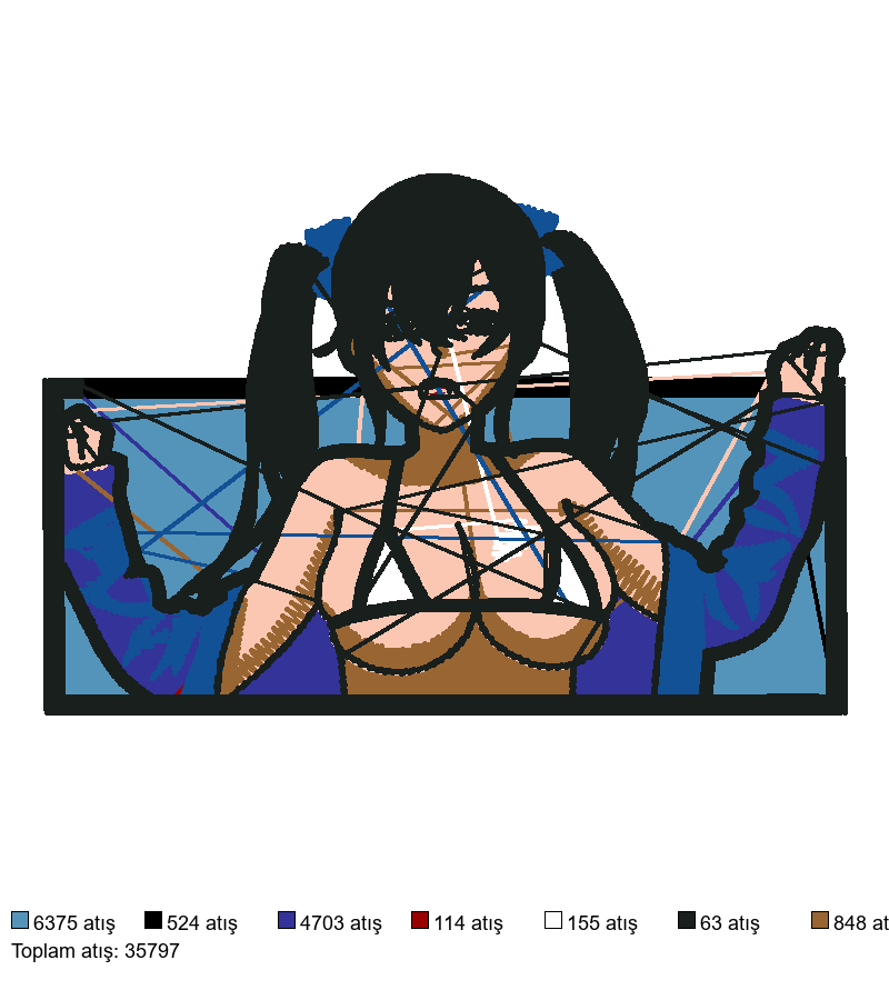 2690 nakış deseni